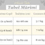 size_chart_3-6-9.jpeg